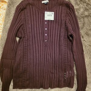 American Eagle Outfitters Maroon Crew Neck Sweater